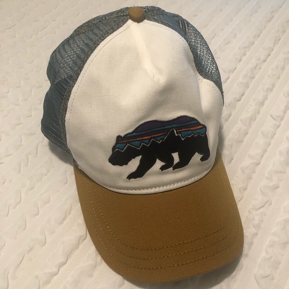 Patagonia Accessories - NWOT Patagonia Fitz Roy Bison Layback Trucker Hat
